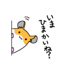 山口弁のハムスター（個別スタンプ：21）