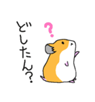 山口弁のハムスター（個別スタンプ：26）