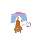 MilkTea dog（個別スタンプ：1）