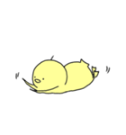 ひよこのぴょった（個別スタンプ：31）