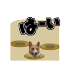 犬とデカ文字（個別スタンプ：3）