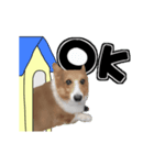 犬とデカ文字（個別スタンプ：7）