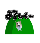 犬とデカ文字（個別スタンプ：8）