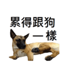 woohoo（個別スタンプ：5）