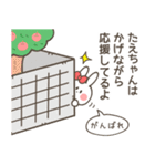 たえちゃん（たえこ・たえみ）専用スタンプ（個別スタンプ：36）