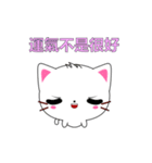 Beiya Cat-Animated Stickers-Part5（個別スタンプ：7）