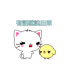 Beiya Cat-Animated Stickers-Part5（個別スタンプ：12）