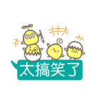 Fat Chicken Family（個別スタンプ：12）