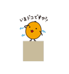 びわりん＆びわすけ【敬語・家族トーク編】（個別スタンプ：30）