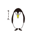 ペンギンのぎんぺい（個別スタンプ：1）