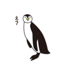 ペンギンのぎんぺい（個別スタンプ：4）