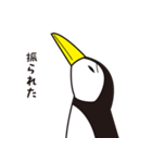 ペンギンのぎんぺい（個別スタンプ：9）
