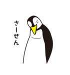 ペンギンのぎんぺい（個別スタンプ：24）