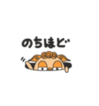 OKISEE！（個別スタンプ：31）