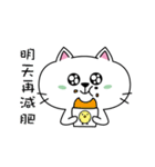 A little white cat - Mina（個別スタンプ：12）