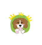 Zisa the Beagle（個別スタンプ：16）