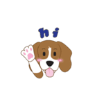 Zisa the Beagle（個別スタンプ：21）