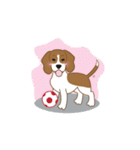 Zisa the Beagle（個別スタンプ：23）