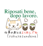 「再販」可愛い猫のイタリア語と日本語(1)（個別スタンプ：11）