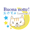 「再販」可愛い猫のイタリア語と日本語(1)（個別スタンプ：13）