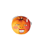 orange crazy isan/eng（個別スタンプ：1）