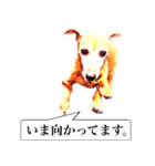 3匹の犬たち（個別スタンプ：15）