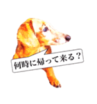 3匹の犬たち（個別スタンプ：22）