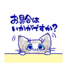 敬語でステネコ（個別スタンプ：23）