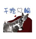 furkid（個別スタンプ：18）