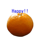 Opinion of oranges（個別スタンプ：2）