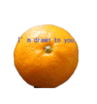 Opinion of oranges（個別スタンプ：6）