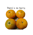 Opinion of oranges（個別スタンプ：9）
