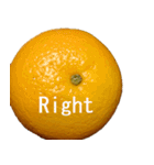 Opinion of oranges（個別スタンプ：17）