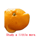 Opinion of oranges（個別スタンプ：22）
