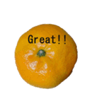 Opinion of oranges（個別スタンプ：24）