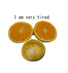 Opinion of oranges（個別スタンプ：27）