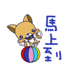 Puppy baby（個別スタンプ：31）