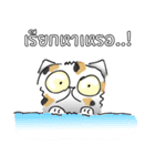 Meow Tham（個別スタンプ：1）