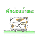 Meow Tham（個別スタンプ：4）