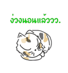 Meow Tham（個別スタンプ：12）