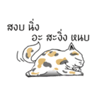 Meow Tham（個別スタンプ：13）