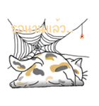 Meow Tham（個別スタンプ：14）