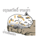 Meow Tham（個別スタンプ：15）