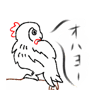 目覚まし鳥（個別スタンプ：6）