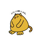 ちょっと、ふとねこ（個別スタンプ：6）