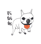 YOHO-frenchbulldog（個別スタンプ：2）