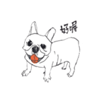 YOHO-frenchbulldog（個別スタンプ：4）