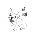 YOHO-frenchbulldog（個別スタンプ：6）