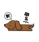 HAPPY LOVELY DACHSHUND（個別スタンプ：12）