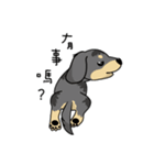 HAPPY LOVELY DACHSHUND（個別スタンプ：20）